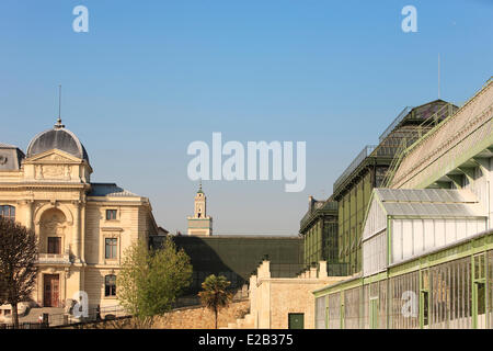 Frankreich, Paris, das Gewächshaus des Jardin des Plantes (Botanischer Garten), die große Galerie der Evolution und das Minarett der Stockfoto