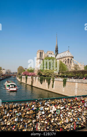 Frankreich, Paris, Seine Ufer Weltkulturerbe der UNESCO, Vorhängeschlösser links von den Liebhabern auf dem Geländer der Pont de Stockfoto