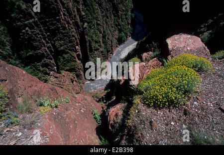 Frankreich, Alpes Maritimes, Parc National du Mercantour (Mercantour Nationalpark), Haut-Var-Tal, Daluis Schluchten in Pelite, rot Stockfoto