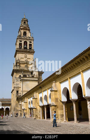 Spanien, Andalusien, Cordoba, Altstadt Weltkulturerbe der UNESCO, Moschee, Moschee-Kathedrale, Minarett der Abd Stockfoto