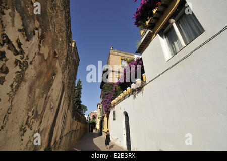 Spanien, Andalusien, Sevilla, Stadtteil Santa Cruz, eine alleinstehende Frau in einer Gasse Stockfoto