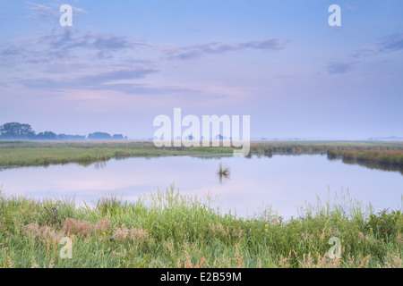 ruhigen nebligen Sonnenaufgang über dem See im Sommer Stockfoto