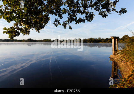 Frankreich, Indre, Berry, Etang Rousseau Parc Naturel Regional De La Brenne (natürlichen regionalen Park von La Brenne) Stockfoto