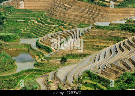 China, Provinz Guangxi, Longsheng, bei Longji Reisterrassen Stockfoto