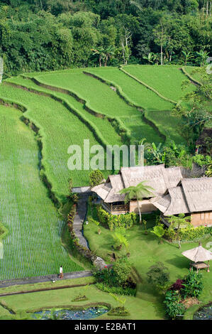 Indonesien, Bali, Subak Bewässerungssystem, Weltkulturerbe der UNESCO Stockfoto