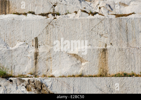 Stecklinge in Wand aus Marmor mine in Mijas, Südspanien. Stockfoto