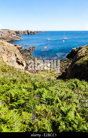 Frankreich, Vendee, Ile d'Yeu, Farne und die wilde Küste Stockfoto