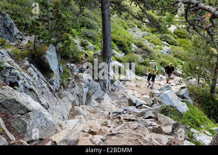 Frankreich, Pyrenäen Orientales, Capcir Region, Parc Naturel Regional des Pyrenäen Catalana (natürlichen regionalen Park der Pyrenäen Catalana), Wandern auf dem GR10 am Rande des Lac de Bouillouses Stockfoto