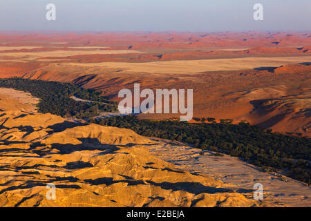 Namibia, Erongo und Hardap Regionen, der Kuiseb Flusstal, Namib Naukluft National Park, Namib-Wüste, Umgebung von Homeb, Stockfoto