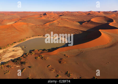 Namibia, Hardap Region, Namib Naukluft National Park, Namib Wüste, Sossusvlei, Sanddünen, Teich oder weißem Lehm schwenken in den Dünen Stockfoto