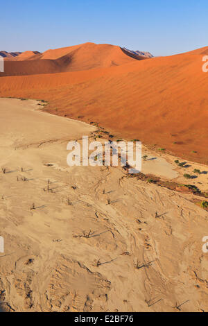 Namibia, Hardap Region, Namib Naukluft National Park, Namib Wüste, Sossusvlei Dünen, Deadvlei, Pfanne oder Lehm Teich planen Stockfoto