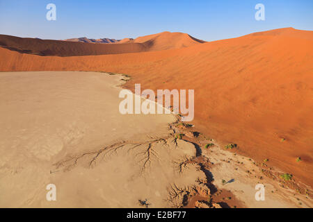 Namibia, Hardap Region, Namib Naukluft National Park, Namib Wüste, Sossusvlei Dünen, Deadvlei, Pfanne oder Lehm Teich planen Stockfoto