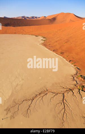 Namibia, Hardap Region, Namib Naukluft National Park, Namib Wüste, Sossusvlei Dünen, Deadvlei, Pfanne oder Lehm Teich planen Stockfoto