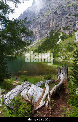 Italien, Venetien, Provinz Belluno, Dolomiten, Weltkulturerbe der UNESCO, Cortina d ' Ampezzo, Föderation See (2040 m) Stockfoto