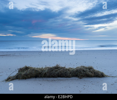 Einen Blick auf den Strand und die Nordsee bei Winterton auf Meer, Norfolk, England Stockfoto