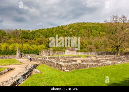 Die Ruinen von Tintern Abbey eine mittelalterliche Zisterzienserkloster, Monmouthshire, Wales, Vereinigtes Königreich, Europa. Stockfoto