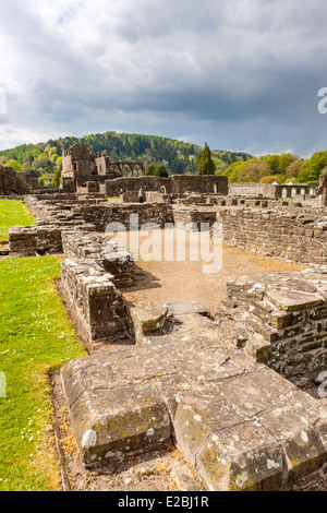 Die Ruinen von Tintern Abbey eine mittelalterliche Zisterzienserkloster, Monmouthshire, Wales, Vereinigtes Königreich, Europa. Stockfoto