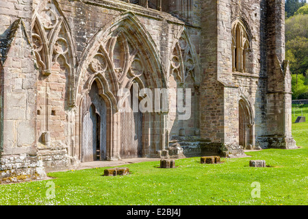 Die Ruinen von Tintern Abbey eine mittelalterliche Zisterzienserkloster, Monmouthshire, Wales, Vereinigtes Königreich, Europa. Stockfoto