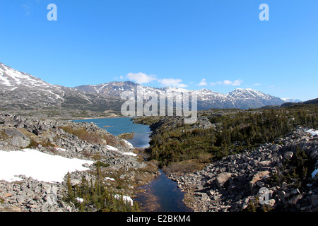 Der Yukon von White Pass Railroad in Skagway, Alaska, ein Zug in die Berge, Yukon-Territorium. Stockfoto