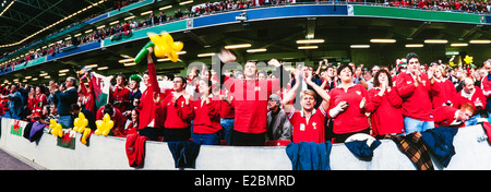 Walisischer Rugby-Fans feiern, Panorama Stockfoto