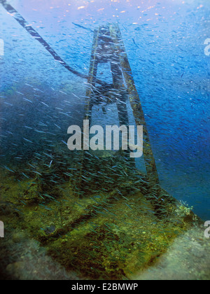Wrack der SS Thistlegorm, versenkt am 5. Oktober 1941 im Roten Meer und ist heute ein bekannter Tauchplatz. Stockfoto