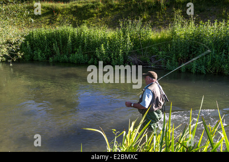 Forellenangeln, Fluß Wylye, Wiltshire, England Stockfoto