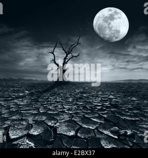 Einsamer toter Baum nachts Vollmond unter dramatischen Wolkenhimmel Trockenheit rissig Wüstenlandschaft Stockfoto