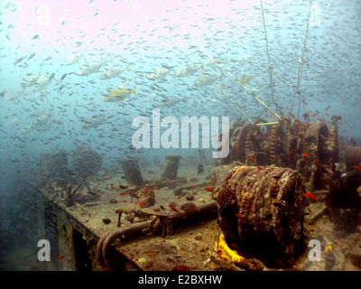 Wrack der SS Thistlegorm, versenkt am 5. Oktober 1941 im Roten Meer und ist heute ein bekannter Tauchplatz. Stockfoto