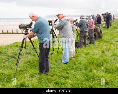 Redcar Cleveland, UK. 18. Juni 2014. Twitchers an der Nordseeküste in Redcar Cleveland UK 18. Juni, in der Hoffnung, eine seltene Black über Melanitta America ein Landstreicher aus Nordamerika zu sehen, die es gesehen hat.  Ihre Aufgabe ist schwierig, weil der Vogel in eine große Herde von gemeinsamen über Melanitta Nigra von dem amerikanischen Vogel nur unterscheidet sich ist durch eine etwas größere Rechnung. Bildnachweis: Peter Jordan NE/Alamy Live-Nachrichten Stockfoto