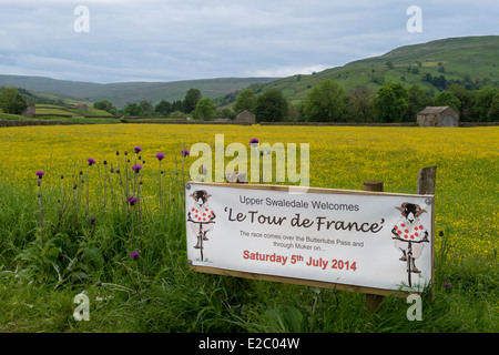 Banner auf der Route der Tour de France (Yorkshire) begrüßen die Besucher Swaledale, traditionelle Scheune & gelb blühende Wiese jenseits - England, UK. Stockfoto