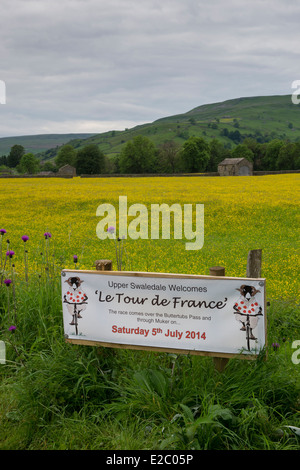 Banner auf der Route der Tour de France (Yorkshire) begrüßen die Besucher Swaledale, traditionelle Scheune & gelb blühende Wiese jenseits - England, UK. Stockfoto