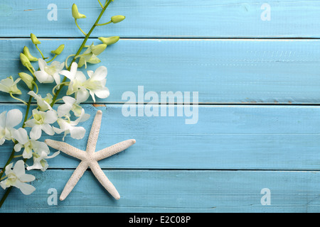 Seestern und Orchidee Blume auf hölzernen Hintergrund Stockfoto