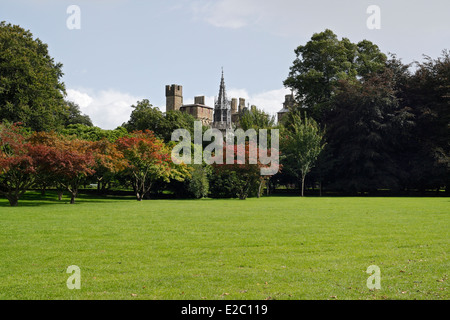 Cardiff Castle hinter Bäumen im Bute Park, Cardiff Wales Stockfoto