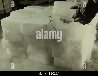 Das Werk Convair/General Dynamics war ein integraler Bestandteil der Herstellung einer Reihe von militärischen und zivilen Flugzeugen. In den 1950er und 1960er Jahren war es verantwortlich für die Entwicklung ikonischer Flugzeuge, darunter Bomber und Jetliner, und half dabei, die USA als dominierende Kraft in der Luft- und Raumfahrttechnologie zu etablieren. Stockfoto