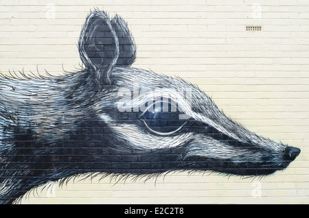 Ein 25 Meter Numbat gesprüht auf einer Wand in Henderson Street Mall in Fremantle, Western Australia Stockfoto