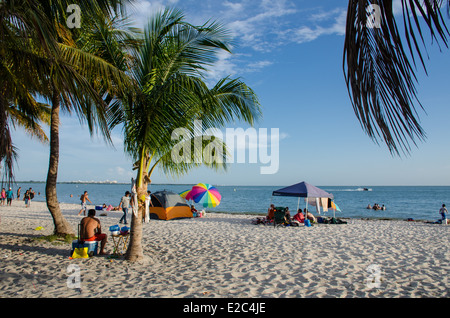 Biscayne Bay Strand in Miami Stockfoto