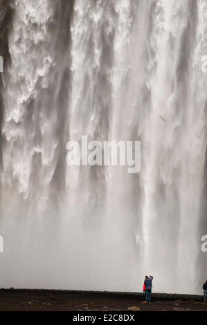 Island, Sudurland Region, Skogar, Skogafoss fällt Stockfoto