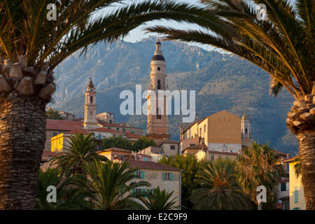 Frankreich, Alpes Maritimes, Menton, St.-Michel-Basilika Stockfoto