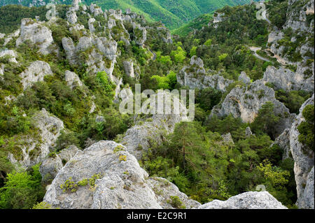 Frankreich, Aveyron, La Roque Sainte Marguerite, Chaos de Montpellier le Vieux auf dem Causse Noir Stockfoto