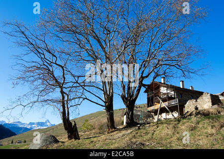Frankreich, Saint Veran, Hautes Alpes, Parc Naturel Regional du Queyras (regionalen natürlichen Parks von Queyras) gekennzeichnet Les Plus Beaux Stockfoto