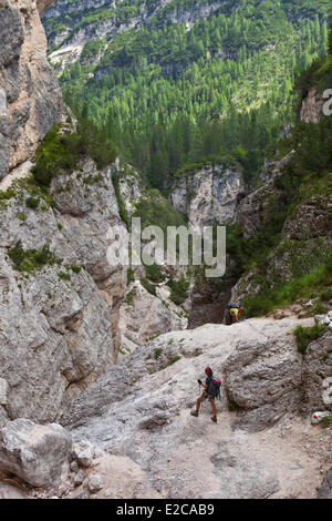 Italien, Venetien, Provinz Belluno, Dolomiten, Weltkulturerbe der UNESCO, Cortina d ' Ampezzo, Fanes Wasserfall Stockfoto