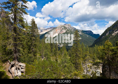 Italien, Venetien, Provinz Belluno, Dolomiten, Weltkulturerbe der UNESCO, Cortina d ' Ampezzo, Fanes Wasserfall Stockfoto