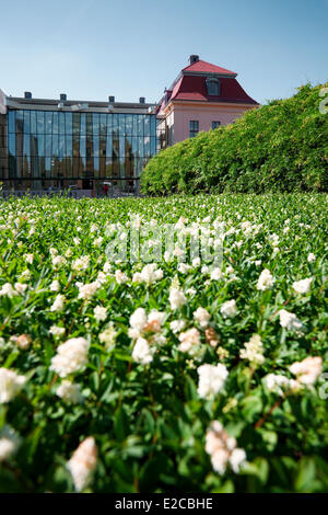 Deutschland, Berlin, Bezirk Kreuzberg, Judisches Museum (Jüdisches Museum) von dem Architekten Daniel Libeskind Stockfoto