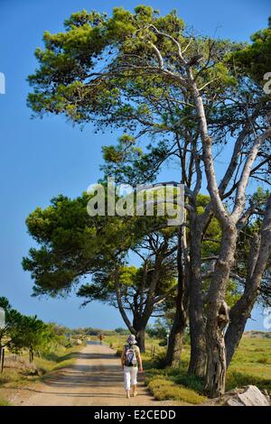 Frankreich, Herault, Serignan, Domaine des Orpellieres, Wanderer auf dem Weg der Sand mit Bäumen im Hintergrund Stockfoto