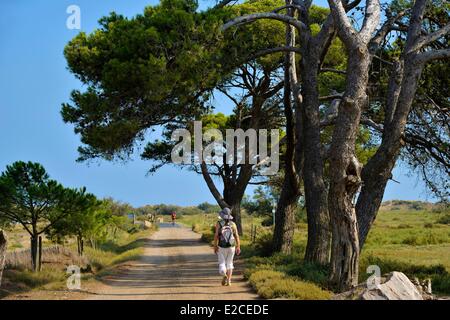 Frankreich, Herault, Serignan, Domaine des Orpellieres, Wanderer auf dem Weg der Sand mit Bäumen im Hintergrund Stockfoto