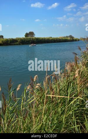 Frankreich, Herault, Serignan, Domaine des Orpellieres, mit dem Schnellboot am Fluss Orb Stockfoto