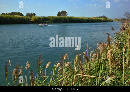 Frankreich, Herault, Serignan, Domaine des Orpellieres, mit dem Schnellboot am Fluss Orb Stockfoto