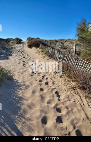 Frankreich, Herault, Serignan, Domaine des Orpellieres, Weg von Sand in der Mitte der Dünen, die zum Meer führt Stockfoto