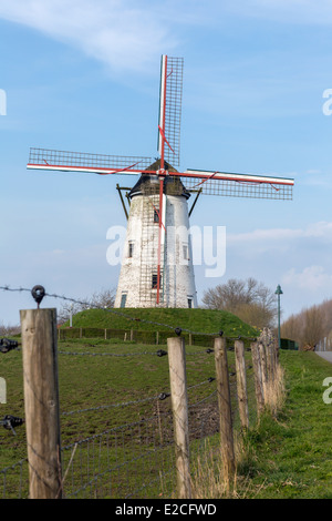 Windmühle von Damme, eines der schönsten Dörfer in Flandern Belgien, in der Nähe von Brügge, entlang des Kanals Damse Vaart Stockfoto