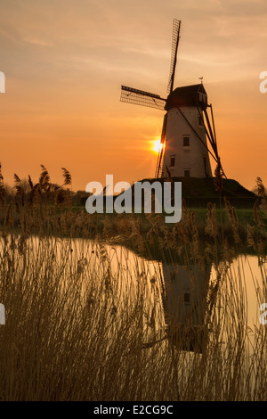 Windmühle von Damme, eines der schönsten Dörfer in Flandern Belgien, in der Nähe von Brügge, entlang des Kanals Damse Vaart Stockfoto